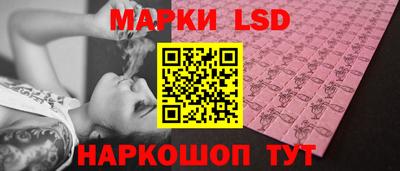 гидропоника Будённовск