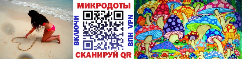 darknet Telegram  цены   Новокузнецк  Псилоцибиновые грибы ЛСД 